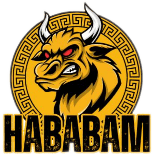 Team Logo