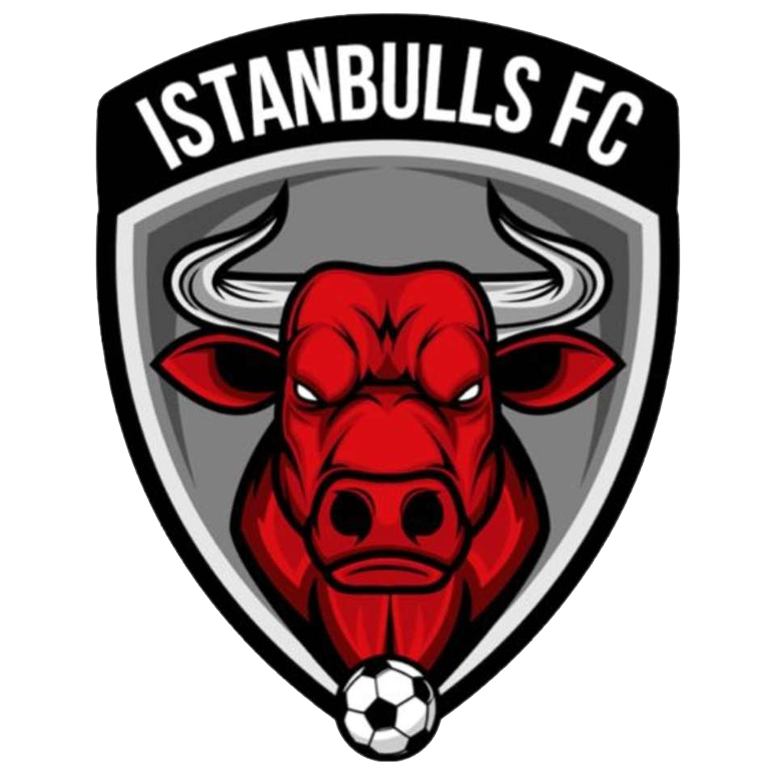 Team Logo