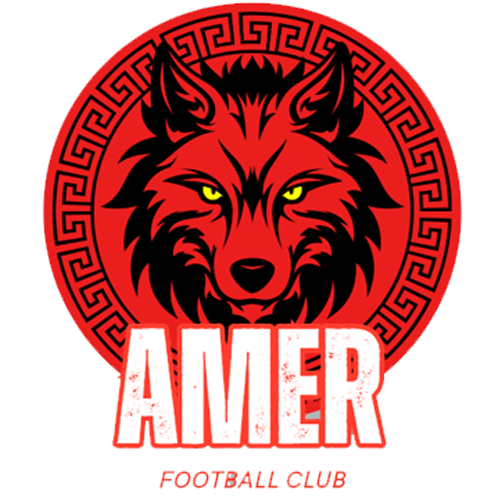 Team Logo