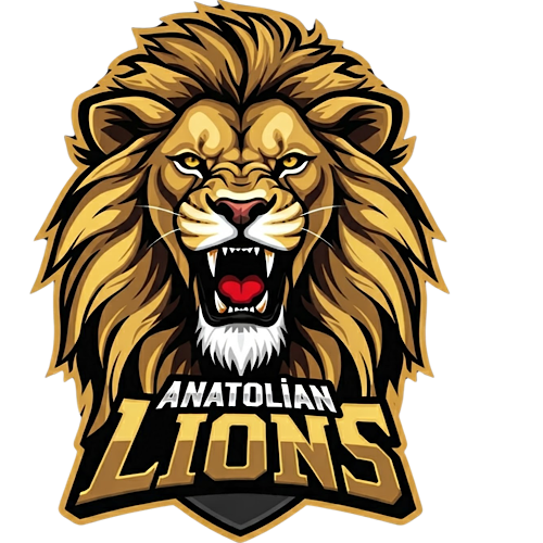 Team Logo