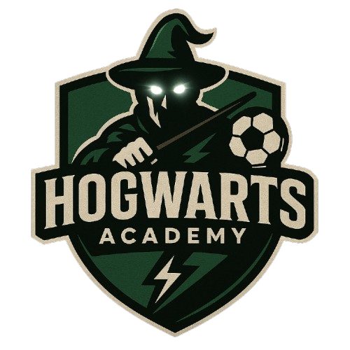 Hogwarts Academy