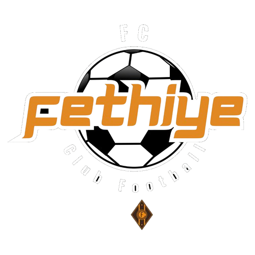 Team Logo