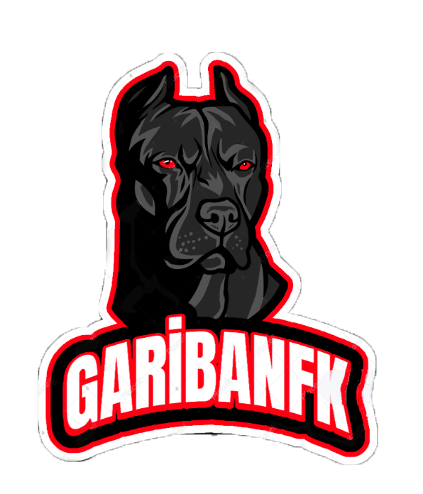 Team Logo